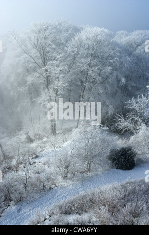 Santa montagna, la foresta sul castello di Heiligenberg in pieno inverno gloria Foto Stock