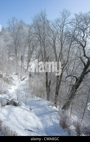 Santa montagna, la foresta sul castello di Heiligenberg in pieno inverno gloria Foto Stock