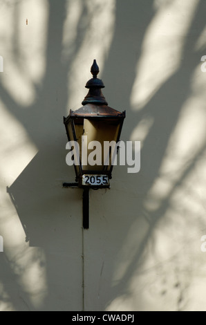 Il vecchio stile lampada su una parete di crema con le ombre degli alberi o rami Foto Stock