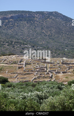 Rovine dell antico insediamento minoico gournià vicino a Agios Nikolaos, Creta, Grecia Foto Stock