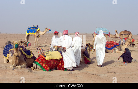 Dubai, degli uomini con i loro cammelli nel deserto Foto Stock