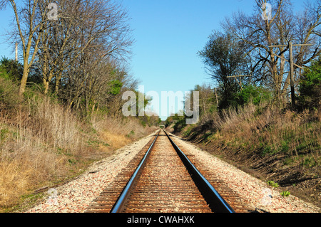 I binari della ferrovia tratto all orizzonte in rural Illinois. Foto Stock