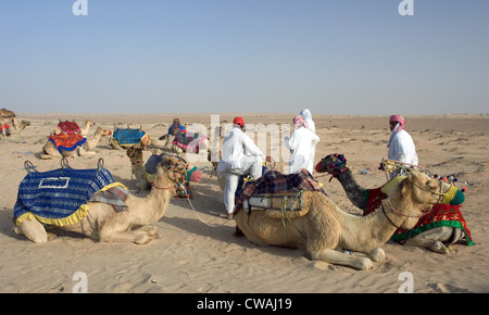 Dubai, arabo degli uomini con i loro cammelli nel deserto Foto Stock