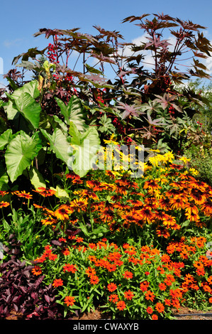 Display floreali presso il Berkshire Giardino Botanico, Stockbridge, Massachusetts Foto Stock