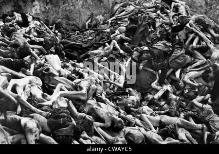 I corpi dei defunti campo di concentramento i detenuti, Bergen-Belsen, c.1944 Foto Stock