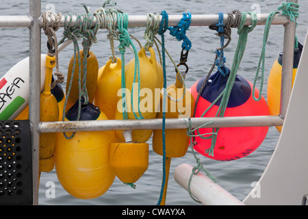 Chatham, Massachusetts - barca da pesca paraurti e galleggia su una barca nel porto di Chatham. Foto Stock