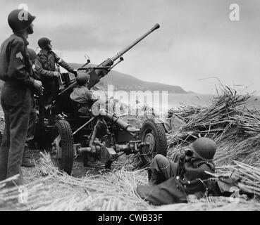 La II Guerra Mondiale, didascalia originale: 'L'Anti-aerei bofors gun in posizione su una collinetta che domina la spiaggia in Algeria con un Foto Stock