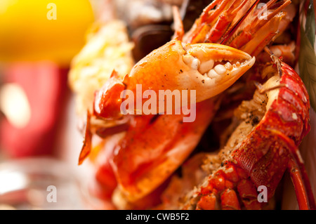 Piatto cucinato con granchi e aragoste con il fuoco selettivo sulla pinza di granchio Foto Stock