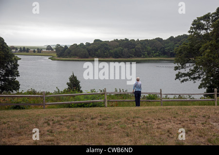 Stagno di sale in Cape Cod National Seashore Foto Stock