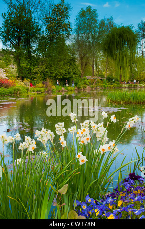 Monet, giardino di fiori; Giverny; Normandia; Francia; Eure; Europa; molla; i tulipani Foto Stock