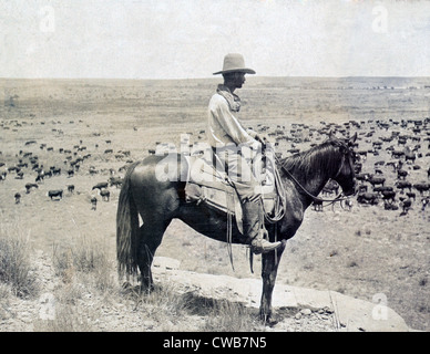 Un Texas cowboy a cavallo su un poggio guardando verso il basso in corrispondenza di una mandria di bovini sulla gamma, LS Ranch in Texas. foto di Erwin E. Foto Stock