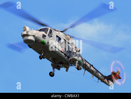 I gatti neri elicottero Lynx Royal Navy Team Display Foto Stock