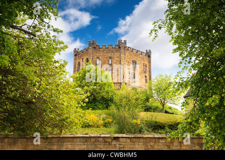 Il mastio del castello di Durham visto attraverso gli alberi. Foto Stock