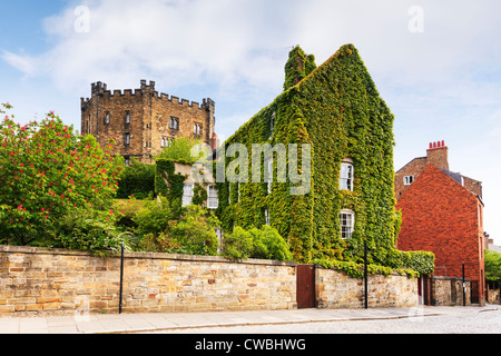 Una casa quasi interamente coperto nella Virginia del superriduttore nel vicino a Durham cattedrale e castello di Durham mantenere. Foto Stock