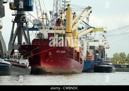 Costiera alimentatore e navi portacontainer a fianco la banchina del porto di Rotterdam Foto Stock