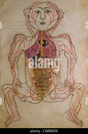 La circolazione umana sistema, da MANSUR'S ANATOMY, creato dal persiano di studioso e di medico, Mansur ibn Ilyas (ca. Foto Stock