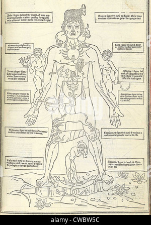 Zodiac da uomo che illustra come il corpo umano si riferisce ai segni zodiacali. L'antica teoria medica ha ritenuto che i quattro Foto Stock