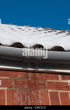 L'acqua da fusione della neve sul tetto grondaia traboccante e gocciolamento verso il basso rosso parete in mattoni con un luminoso cielo blu Foto Stock