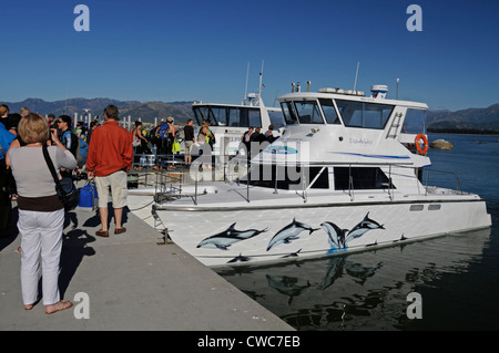 Turisti si riuniscono sulla banchina in attesa di bordo dei due Avvistamento Delfini imbarcazioni a Kaikoura sull Isola del Sud , Nuova Zelanda Foto Stock