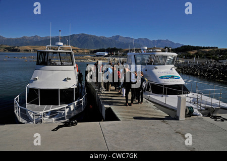 I turisti si riuniscono sul molo in attesa di salire a bordo delle due barche Dolphin Watch a Kaikoura, South Island, Nuova Zelanda Foto Stock