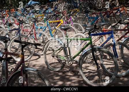 Le biciclette a noleggio presso le rovine di Coba, Messico. Foto Stock