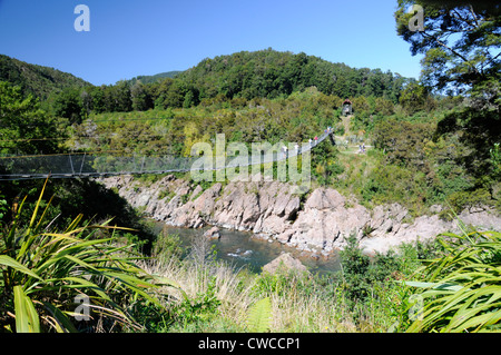 Il ponte sospeso più lungo della Nuova Zelanda attraverso il fiume Buller presso il Buller Gorge Adventure & Heritage Park vicino a Murchison sull'autostrada statale 6 nord-ovest Foto Stock