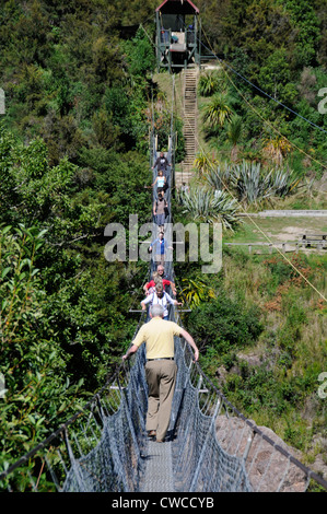 Traffico bidirezionale come visitatori cross Nuova Zelanda più lunga del ponte oscillante in alto sopra il fiume Buller a Buller Gorge in Nuova Zelanda Foto Stock