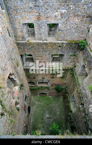 Il medievale tenere banco Salamandre Salamandra / Torre a Beaumont, Hainaut, la Vallonia, Belgio Foto Stock