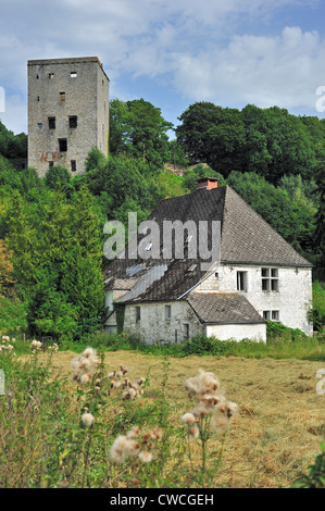 Il medievale tenere banco Salamandre Salamandra / Torre a Beaumont, Hainaut, la Vallonia, Belgio Foto Stock