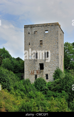 Il medievale tenere banco Salamandre Salamandra / Torre a Beaumont, Hainaut, la Vallonia, Belgio Foto Stock