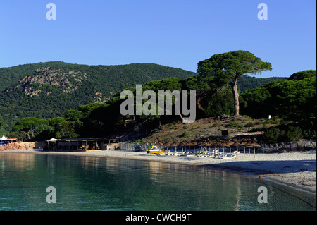 Plage de Palombaggia vicino a Portovecchio, Corsica, Francia Foto Stock