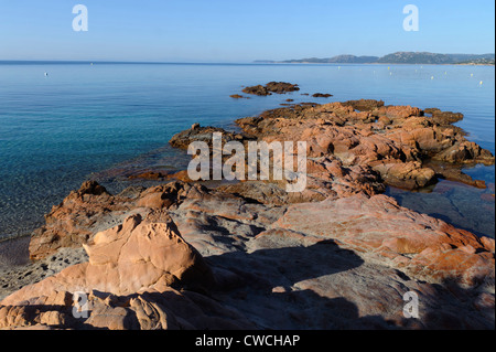 Plage de Palombaggia vicino a Portovecchio, Corsica, Francia Foto Stock