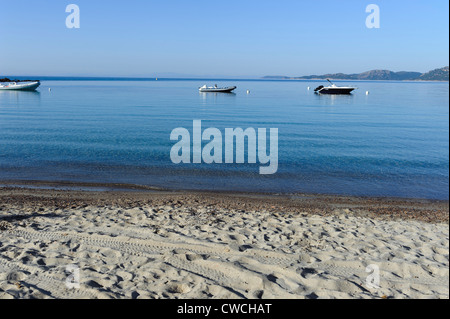 Plage de Palombaggia vicino a Portovecchio, Corsica, Francia Foto Stock