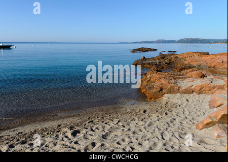 Plage de Palombaggia vicino a Portovecchio, Corsica, Francia Foto Stock