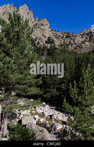 Restonica-Valley vicino a Corte, Corsica, Francia Foto Stock