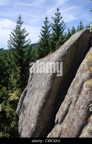 Roccia di granito Trudenstein vicino a Hohne Cliffs, parco nazionale Harz, Sassonia-Anhalt, Germania Foto Stock