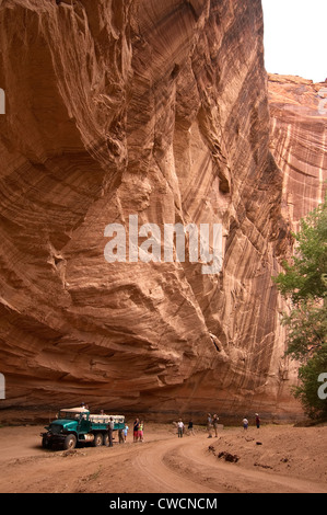 Elk288-1216v Arizona, Canyon De Chelly National Monument, Navajo buggy tour nel canyon del Muerto Foto Stock