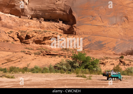 Elk288-1220 Arizona, Canyon De Chelly National Monument, Navajo buggy tour nel canyon del Muerto Foto Stock