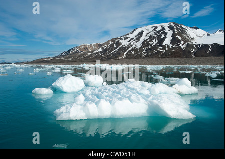 Monaco glacier, Woodfjorden, Spitsbergen, Svalbard, Arctic Foto Stock