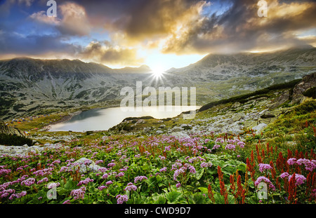 Tramonto in Retezat mountain, Carpazi romeni. autunno vista lago e fiori Foto Stock