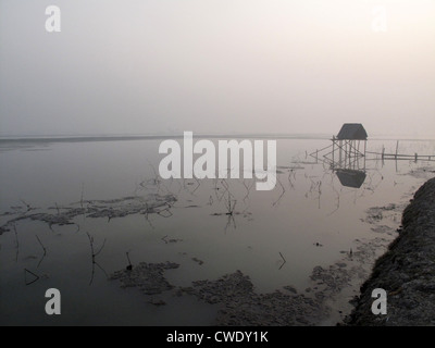 Un'alba mozzafiato che si affaccia sui fiumi più sacri dell'India. Gange delta in Sundarbans, Bengala Occidentale, India. Foto Stock