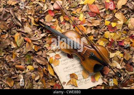 Il violino e la musica foglio in caduta foglie Foto Stock