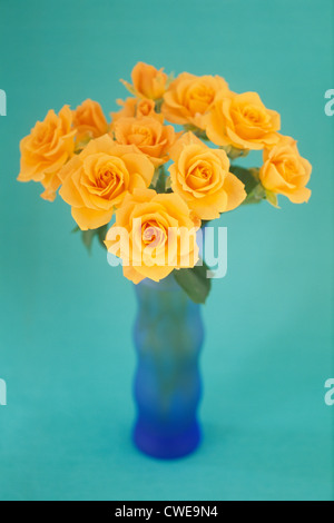 Giallo Rose in vaso su sfondo Teal Foto Stock