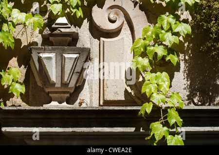 Antico muro con ornamenti e strisciante fiori Foto Stock