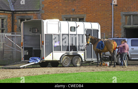 Box per cavallo a Ingestre Hall Maneggio Ingestre vicino a Stafford Staffordshire England Regno Unito Foto Stock