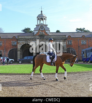 Una giovane donna in sella ad un cavallo e Cavallo le caselle in Ingestre Hall Maneggio Ingestre vicino a Stafford Staffordshire England Regno Unito Foto Stock