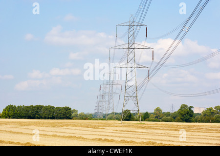 Elettricità tralicci in campagna Foto Stock