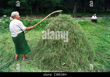 Un contadino donna su un prato di pile di fieno, Bulgaria Foto Stock