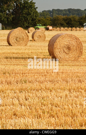 Appena arrotolato golden balle di fieno in agricoltori recentemente raccolto campo agricolo Foto Stock