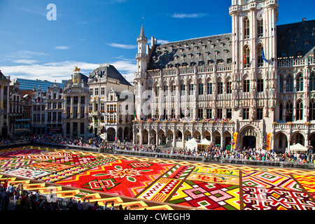 2012 tappeto di fiori, Tapis de fleurs, di fronte al Municipio di La Grand-Place di Bruxelles Foto Stock